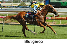 Blutigeroo (14772 bytes)