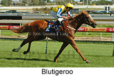 Blutigeroo (14772 bytes)