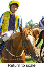 Return to scale (14008 bytes)