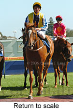 Return to scale (14008 bytes)