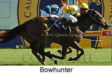 Bowhunter (14772 bytes)