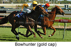 Bowhunter (14772 bytes)