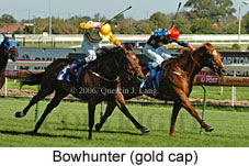 Bowhunter (14772 bytes)