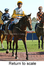 Return to scale (14008 bytes)