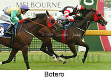 Botero (14772 bytes)