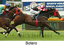 Botero (14772 bytes)