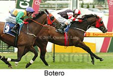 Botero (14772 bytes)