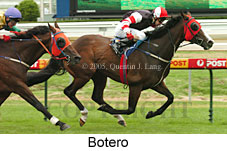 Botero (14772 bytes)