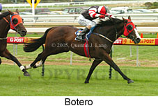 Botero (14772 bytes)