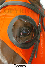 Botero (14772 bytes)