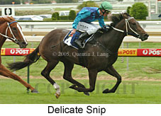 Delicate Snip (14772 bytes)