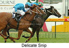 Delicate Snip (14772 bytes)