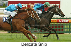 Delicate Snip (14772 bytes)