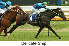 Delicate Snip (14772 bytes)