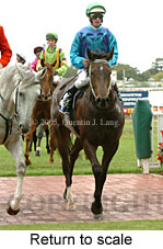 Return to scale (14008 bytes)