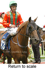 Return to scale (14008 bytes)