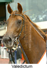 Valedictum (14772 bytes)