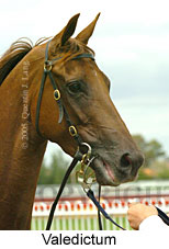 Valedictum (14772 bytes)