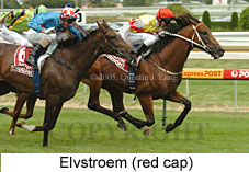 Elvstroem (14772 bytes)