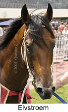 Elvstroem (14772 bytes)