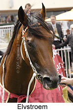 Elvstroem (14772 bytes)