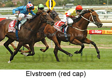 Elvstroem (14772 bytes)