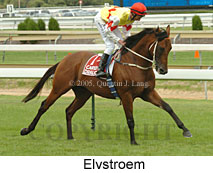 Elvstroem (14772 bytes)