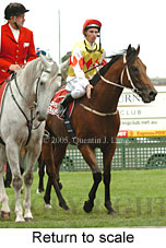 Return to scale (14008 bytes)