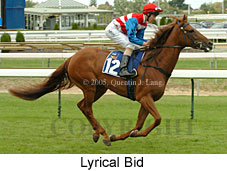 Lyrical Bid (14772 bytes)