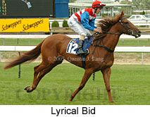 Lyrical Bid (14772 bytes)