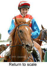 Return to scale (14008 bytes)