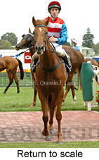 Return to scale (14008 bytes)