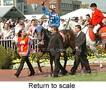 Return to scale (14008 bytes)