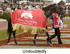 Undoubtedly (14772 bytes)