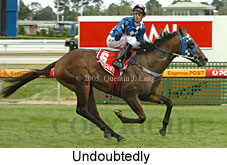 Undoubtedly (14772 bytes)