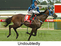 Undoubtedly (14772 bytes)