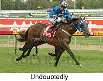 Undoubtedly (14772 bytes)