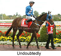 Undoubtedly (14772 bytes)