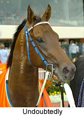 Undoubtedly (14772 bytes)