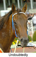 Undoubtedly (14772 bytes)