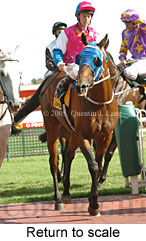 Return to scale (14008 bytes)