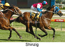 Shinzig (14772 bytes)