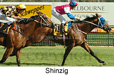 Shinzig (14772 bytes)