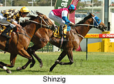 Shinzig (14772 bytes)