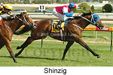 Shinzig (14772 bytes)