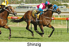 Shinzig (14772 bytes)