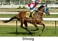 Shinzig (14772 bytes)