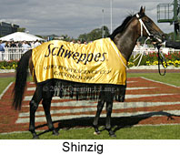 Shinzig (14772 bytes)