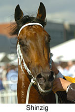 Shinzig (14772 bytes)