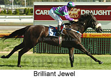 Brilliant Jewel (14772 bytes)